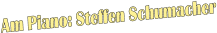 Am Piano: Steffen Schumacher